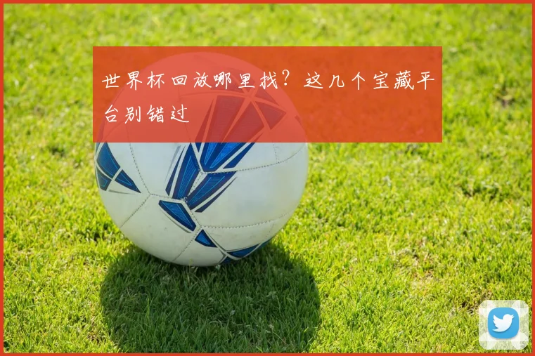 世界杯回放哪里找？这几个宝藏平台别错过