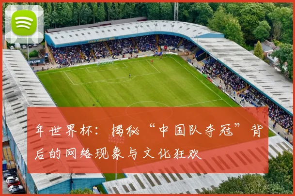 年世界杯：揭秘“中国队夺冠”背后的网络现象与文化狂欢